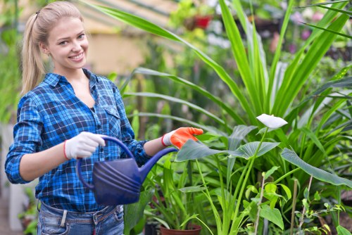 Garden clearance crew removing overgrown vegetation in an urban backyard