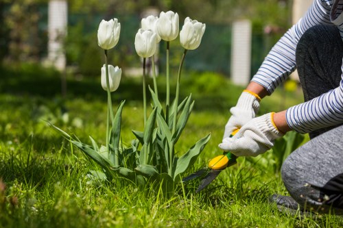 Garden maintenance team starting work in a residential garden