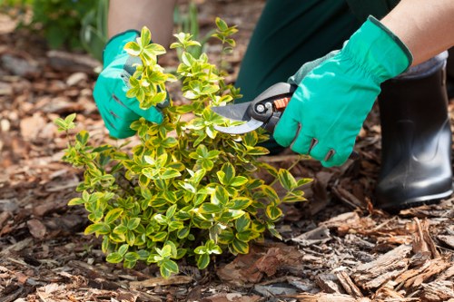Crew setting up a safe work zone in a residential garden