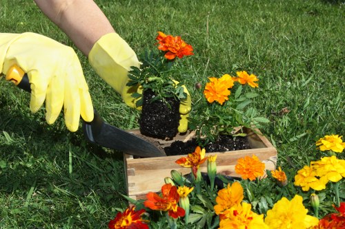 Garden maintenance tools and equipment in use in Manor Park